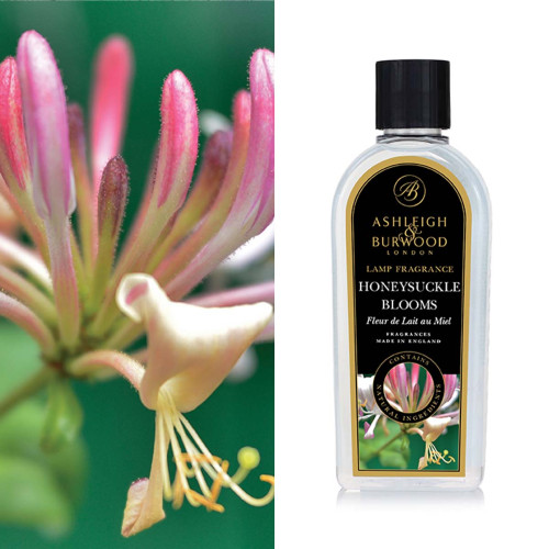 Ashleigh & Burwood  Honeysuckle Blooms Geurlamp olie 250ml