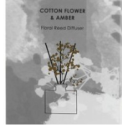 Cotton Flower & Amber