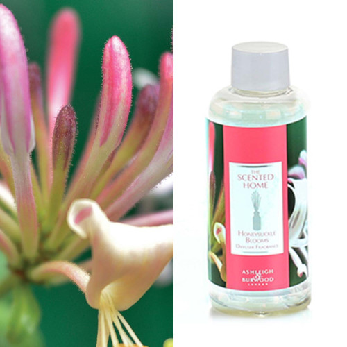 Ashleigh & Burwood  Honeysuckle Blooms Reed Diffuser Nachfüllung 150ml